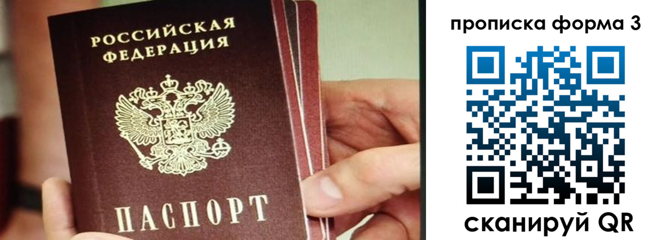 прописка законно в Севастополе